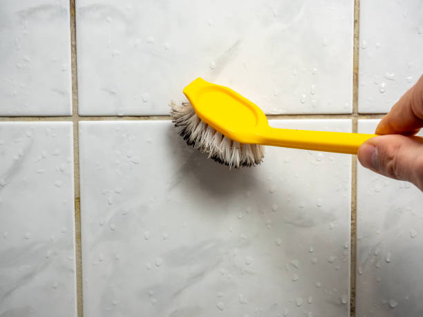 Best Emergency Mold Removal  in Creola, AL