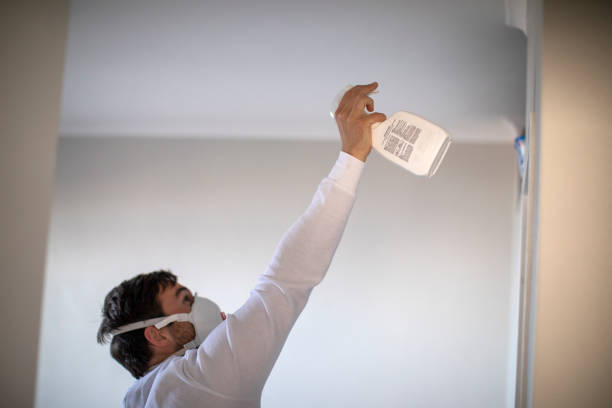 Best Local Mold Removal Service  in Creola, AL