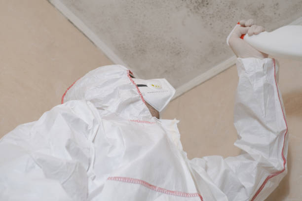 Best Mold Testing  in Creola, AL