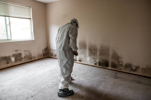 Best Professional Mold Removal  in Creola, AL